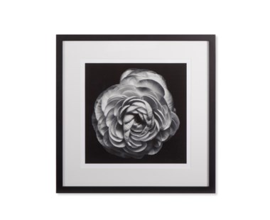 Black Blossom - B